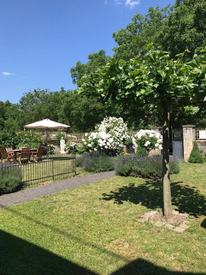 Ferienwohnung Altes Pfarrhaus Mit Flair Und Moselblick Brauneberg Kültér fotó
